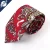 Import 2021 fashion paisley design polyester printed tie set from China