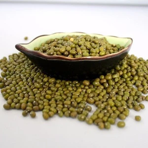2151 Lv dou Wholesale Chinese Beans Green Mung Bean