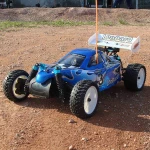 251-66 1/10 nitro powered vehicle - Leopard