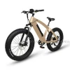 26*4.0 1000W big power Fat tire electric Mountain bike/Snow bike/electric bicycle with CE