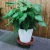 Import 26cm Modern portable removable plastic trays flower plant vase stand from China