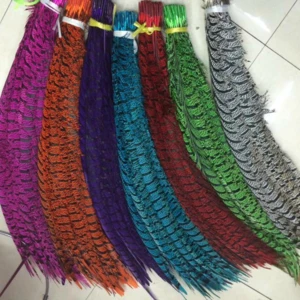 30-35 inch dyed zebra pheasant feathers