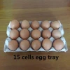 30 cells paper egg tray hot selling