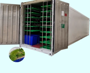 3000kg Per day Container Type Hydroponic Fodder Sprouting System Green Fodder Growing Room for animal Feed