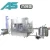 45mm &amp; 55mm two bottle mouth /5L &amp; 5gallon water filling machine