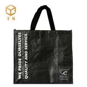 Accept customized logo and packing pp non woven insulated lunch thermal cooler bag