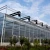 Import Agricultural glass cover hydroponic lettuce cultivation greenhouse from China