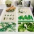 Import Amazon sells wholesale customized eat mat wind Nordic green plants insulation pad cotton tea towel from China