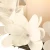 Import Aritificial White Magnolia Flower Rattan Christmas Wreath Rings decorative from China