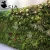 Import Artificial plants outdoor green wall , foliage wall decoration , fern wall decore plastic plant from China