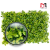 Import artificial plants wholesale from China