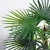 Import Artificial Trees indoor green tree 55*55*58CM Faux Kwai Palm in pp pot/lvs9 from China