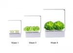 Automatic home garden  hydroponic farming supplies complete vertical hydroponic system for grow vegetables