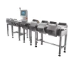 Automatic weight sorting machine sorter for chicken legs wings and oysters