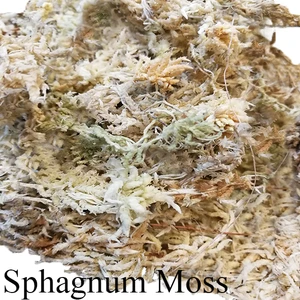 Best Organic Fertilizer Prices for Wholesale Sphagnum Moss for Flowers Orchids