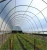 Import Best Selling products 200micron greenhouse plastic film from China
