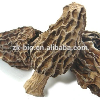 Best selling rich nutrition dried Morchella Mushroom