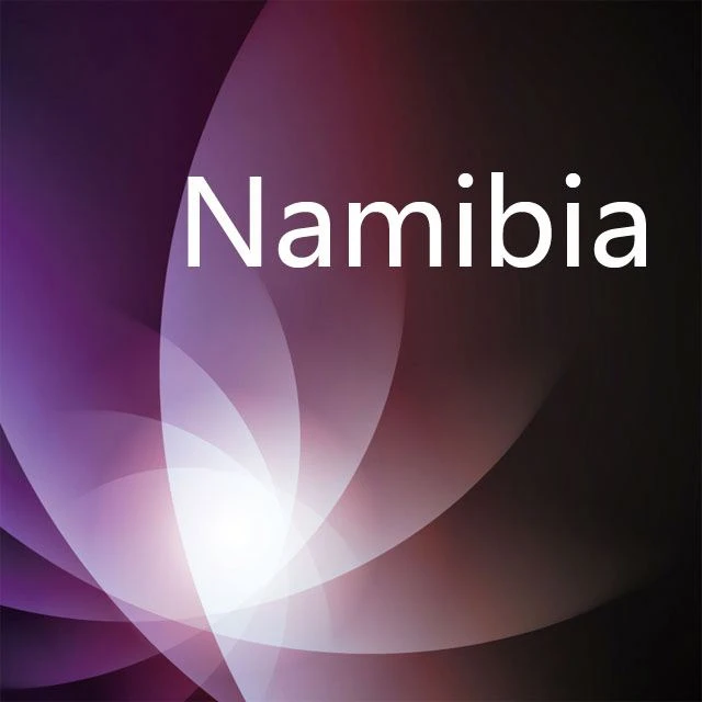 best Shipping Agent to Namibia