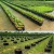 Import Biodegradable geotextile planting garden fabric grow bags for plants from China