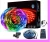 Import Black Light UV Led Strip 16.4Ft/5M Flexible IP65 with 12V Power Supply from China