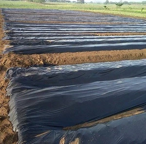 black white plastic mulch film/agricultural anti weed mulch/custom large size mulch film from Talent factory