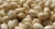 Import Blanched Bold Peanuts With price from India