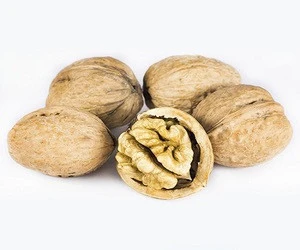 Brand new canned walnuts with high quality walnuts kernels from uzbekistan