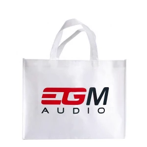 Brand Promotion Custom Printing Logo Eco Non Woven Shopping Reusable Bags