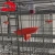 Import Breeder Cage in Poultry Chicken Farm from China
