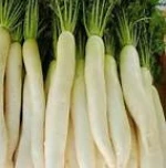 Fresh Radish in best discounts
