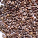 Buckwheat raw for sale