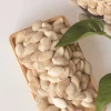Bulk Chinese Supplier of Best Quality Green Pumpkin Seeds