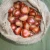 Import Bulk Fresh Chestnuts for sale from Brazil