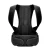 Import Bunnyhi BBJ004 Hot Sale Back Brace Lumbar Support Lower Back Support from China
