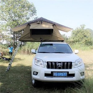 Camping carp fishing tent with telescopic tent pole