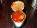 Canned food Canned Fish Canned Sardine/ Tuna/ Mackerel in tomato sauce/oil/ brine 155G 425G