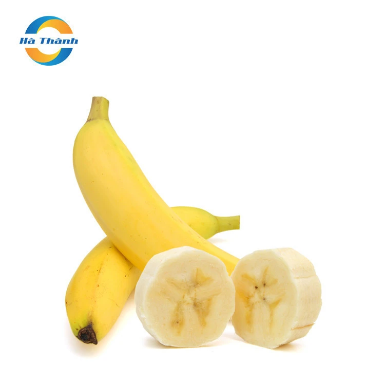 Cavendish Bananas Green For Exports A Type Of Carbohydrate Banana Fresh Fruit