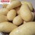 Import Certificated Fresh Table Potato per Ton Price from Pakistan