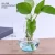 Cheap Bulk Wholesale Glass Vase Nordic Mushroom Flower Plant Clear Vase