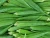 Import Cheap Fresh Green Okra/Okro For Sales Hot sales Thailand from Philippines