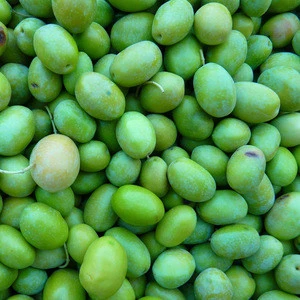 Cheap Fresh Olives for sale