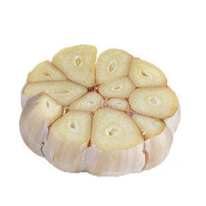 China Natural Fresh White Garlic 5.0cm Price