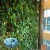 Import China supplier vertical hydroponic  wall hanging artificial garden from China