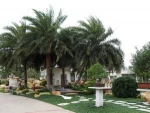 Chinese ficberglass turnk plastic leaves outdoor plants artificial date palm tree for outdoor garden decoration