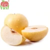Chinese Fresh Pear