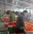 Import Chinese hot sale fresh carrot 150-200g / new season vegetable wholesale from China
