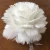 Import christmas pheasant dyed colors goose feather balls from China