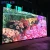 Import Church Public Backdrops LED Video Wall Panel Indoor P3.91 HD LED Display from China