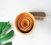 clay pot mini terracotta herb pot