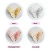 Import Colorful Paper Butterfly Room Stickers Home Decor 3D Butterfly Wall Decor Gold from China